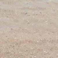 クワトロ (@qw00889) 's Twitter Profile