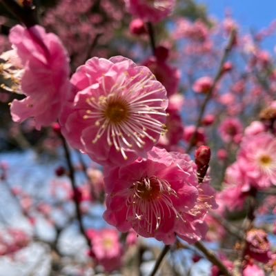 yobEFXZVqP81369's profile picture. 