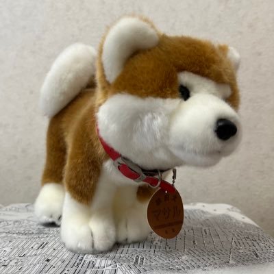 ❶日常のことについてポストしています。❷スポーツ観戦(楽天イーグルス、ベガルタ仙台など)、旅行、読書、花などが好きです。❸ 放送大学(人間と文化コース)の学生です。❹「中学生の基礎英語1」を聴いています。❺テレビ体操、散歩が日課です。❻料理勉強中です。❼政治には関心がありますが無党派です❽妻と2人年金暮らしです。