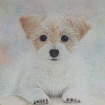 ray__bon's profile picture. ゆっくり生きてるポンコツおじさんです
・オーディオ、音楽、犬、パステル画などが好きです
・トランペットを下手の横好きで続けています
・よく聴く音楽はJAZZ、FUNK、CITY POPなど。気に入れば何でも聴きます
・FFRK初期組(微課金勢)
・鉄拳8はレイウーロン待ち