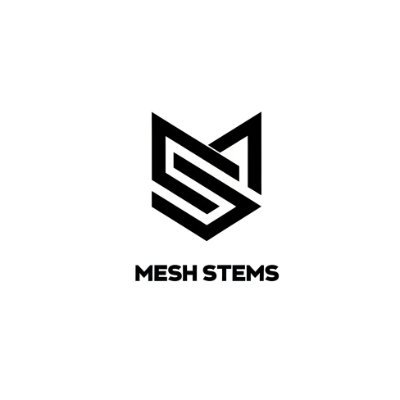 meshstems's profile picture. Fullstack Dev @yiontech