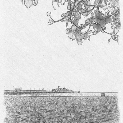 Kelvinyudha21's profile picture. 