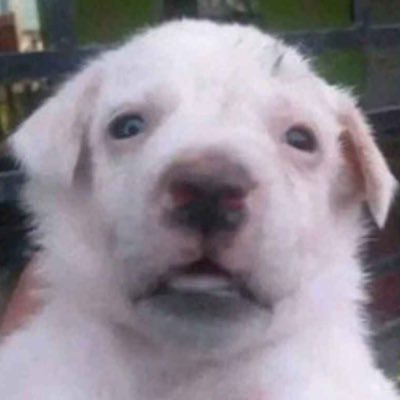 LeoHernand28169's profile picture. 19 He/him, Bisexual. Eddie diaz i love u and i kill for u