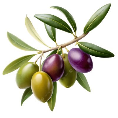 BolukbasiZafer's profile picture. 