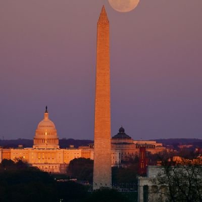 Shivara78079266's profile picture. Elon Musk Social Media management Team. Creating awareness/ facilitating connection