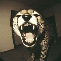 dean (@hungernobs) 's Twitter Profile