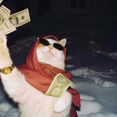 Gare34Andre's profile picture. 