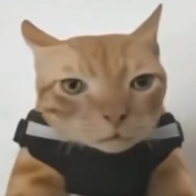 BadabingTime's profile picture. Private account of you know who
Expect freaky/borderline suggestive art here, as well as possible venting.
DO NOT LEAK THIS!!!