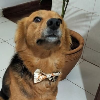 young_sibuor's profile picture. Son of a Queen