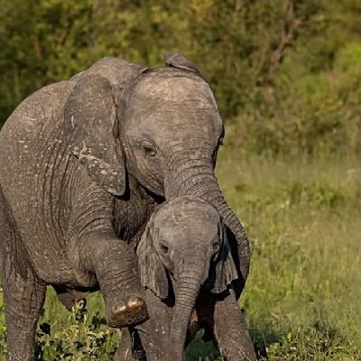 متحمس للعملات المشفرة ومحب للأسواق المالية والاقتصاد. نجعل التداول سهلاً ولا يتطلب أي مهارات، لقد قمنا بزيادة BTC وETH الخاص بك