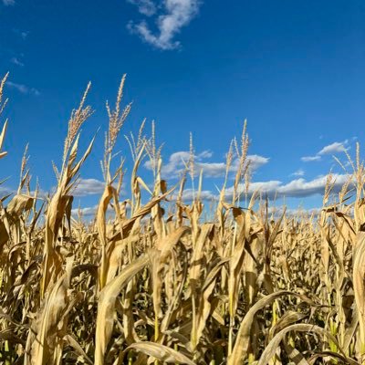 Flyguy231138171's profile picture. 