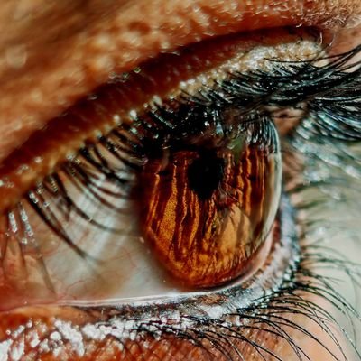 ParinithaDK's profile picture. 𓆝𓆟𓆜