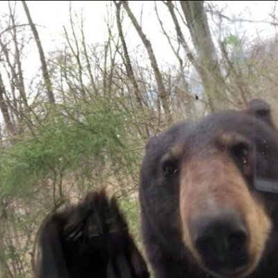 Thedemo86864316's profile picture. Any pronouns 

I draw stuff
Godzilla/Monsterverse 
The boys(youtubers)
idk what else