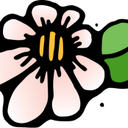 Lynda Wright - @bchlyn - Twitter