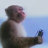 little m (@mateus_afr) 's Twitter Profile