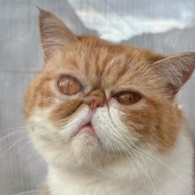 ﾕｲﾅさんのプロフィール画像
