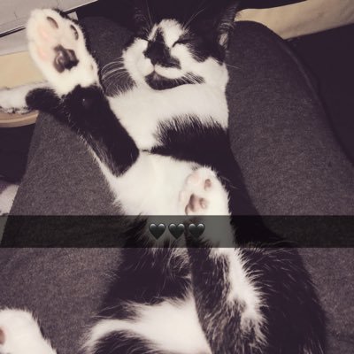 bootybootybott's profile picture. 