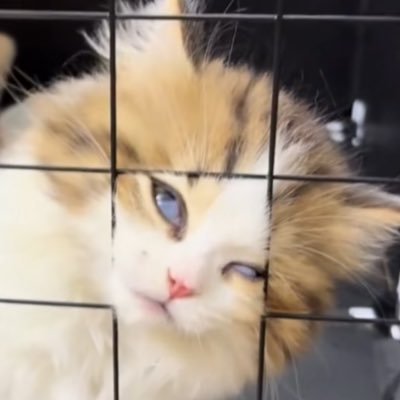 jump_3028's profile picture. #Leo #niki #hyunjin #이리오