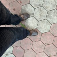 ਹਾਂਡਾ (@abcxcr) 's Twitter Profile