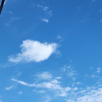 成人済み30↑↑↑
本人周辺B済み
取り引きご、やり取り、削除してます。ねこいます🐈⬛
通知ほぼきません、事が多いです🙇可能でも、可能じゃなくとも、絶対にお返事またはスタンプします
