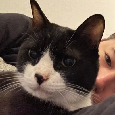 otanaohi's profile picture. 久々にちょっとやってみる フロントエンド/バックエンド/アプリ/AI/のエンジニアです 気付いたら10年やってます 大阪と東京でIT会社経営中