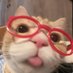 meow (@beepboopbebeoop) Twitter profile photo meow (@beepboopbebeoop) Twitter profile photo