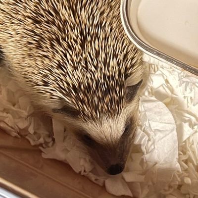 Mayo81744's profile picture. 