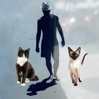 ™ 𝙏𝙚𝙣𝙜𝙤 𝙪𝙣𝙖 𝗚𝗮𝘁𝗮💚❤️🐈/del 𝐁𝐚𝐫ç𝐚 𝐲 aficionado al ciclismo-Todos los animales necesitan 𝐀𝐌𝐎𝐑 y 𝐑𝐄𝐒𝐏𝐄𝐓𝐎❤️𝐎𝐋𝐀𝐅❤️