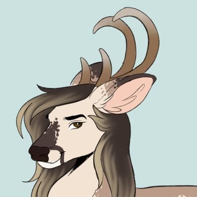 A dumb deer // Introverted and always anxious
Drummer, Bassist, and WH40k nerd