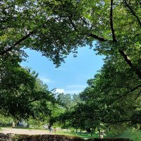 ここねる🐑 (@kokoneru0904) 's Twitter Profile Photo