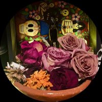 .·:*¨¨*:·. ⋆˖⁺‧₊☽ ⛦⃝ ☾₊‧⁺˖⋆ .·:*¨¨*:·. (@bendiciones_444) 's Twitter Profile