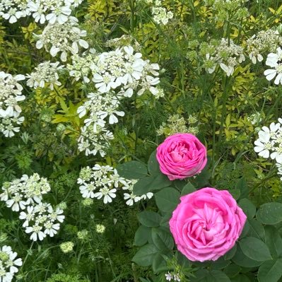 kaeru0707162533's profile picture. 美味しいもの好き❤️ 温泉♨️サウナ🧖‍♀️水風呂最高😀 健康になる生活模索中(^^) Amazonアソシエイト参加中❗️