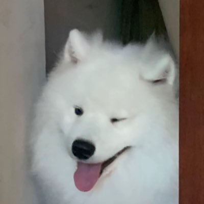warivx_ Profile Picture