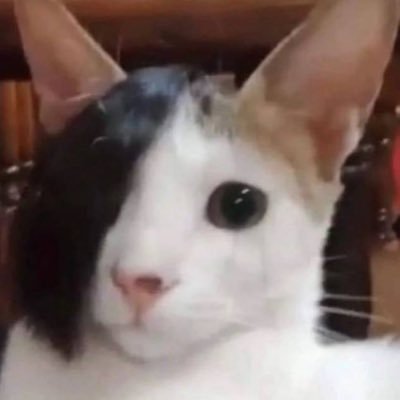 omh0o's profile picture. 