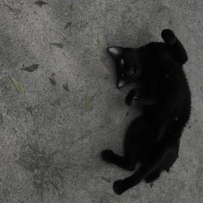 ktrxx___'s profile picture. 