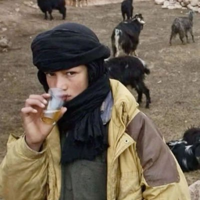 History Enthusiast | Economics & Culture Explorer | Hazara Folklore Researcher | Lover of Turkic-Mongol History, Afghanistan 🇦🇫