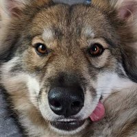 Tavi (@winzical1) 's Twitter Profile Photo Tavi (@winzical1) 's Twitter Profile Photo