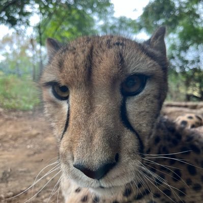 menmaGB's profile picture. 15歳と11歳♂持ちパパ。 ラーメンやB級グルメ全般が好きのアラフォー。 ゲーム好きでしたが卒業。ロードバイク、登山、トレラン。バスケ🏀ラグビー🏉観戦も好き。 疲労骨折療養中