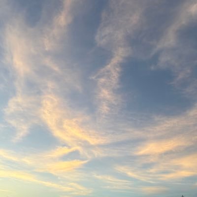 ashi_830's profile picture. 