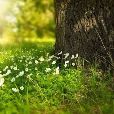 natt_awu_t's profile picture. 