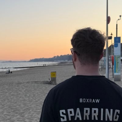 dylcote's profile picture. Building @Aspen_Browser