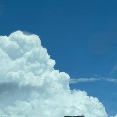 365さんのプロフィール画像