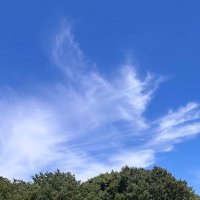 E (@e234565432e) 's Twitter Profile