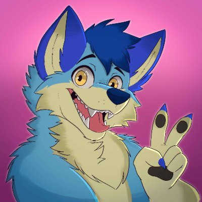 Dingodtn's profile picture. 