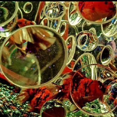ルイ姉推し🥀です
メンバーにはまだ入れてないです。
箱推しです
もう一つのアカウントです(自然とかをあげるのに使います)→fw230605
前のアカウントは使えなくなりましたので
こちらでまたよろしくお願い致します。
