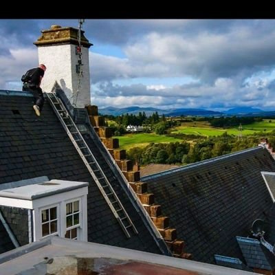 Dan_D_88's profile picture. in an insane world, its the sane that are labelled crazy.