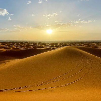 MarcoAmbrosett1's profile picture. Lottare per essere e non per apparire e la verità è la bussola che mi guida