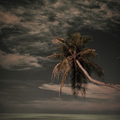 Hardeyy321's profile picture. 