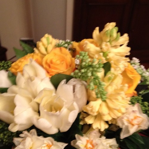 AllaAllakier's profile picture. 