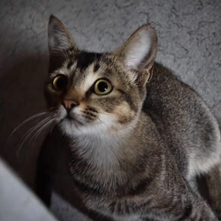 inwedu's profile picture. ..